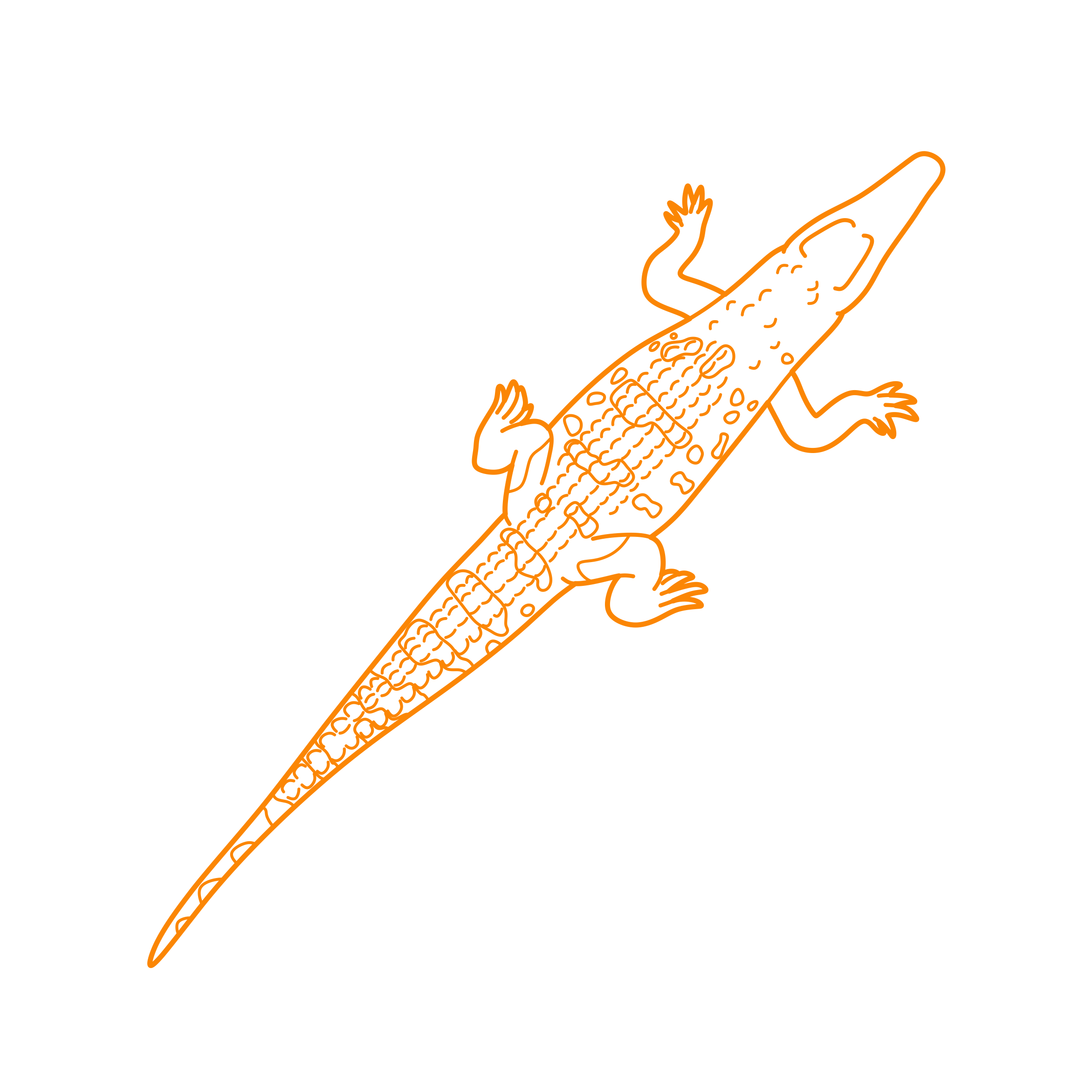 Animals Crocodilians American Crocodile Craft Design Svg File Free Vectors